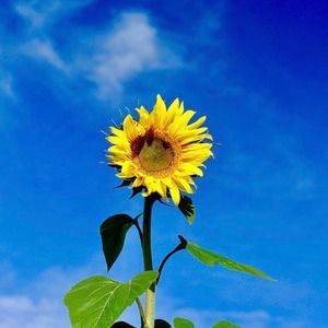 Meet your Posher, Gunilla